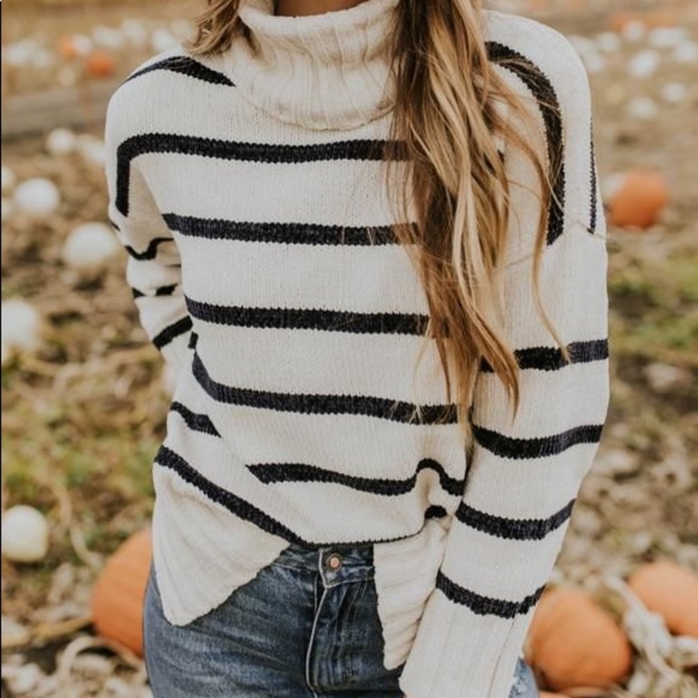 ISO! Roolee Striped Turtleneck Sweater